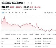 대왕개미 유튜브 방송 재개했으나 게임스톱 39% 폭락
