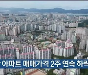 울산 주간 아파트 매매가격 2주 연속 하락