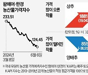 농산물 가격 11개월만에 최저…양배추·양상추값 2주째 급락