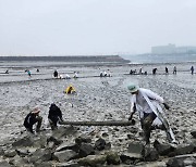 칠게 살리려고 '고군분투'... 인천 송도갯벌에 묻힌 불법 어구 수거 [현장, 그곳&]