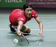 INDONESIA BADMINTON