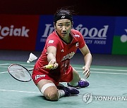 INDONESIA BADMINTON