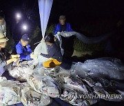 대북전단 날리는 탈북민 단체