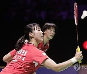 INDONESIA BADMINTON