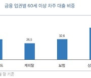 "은퇴 후 소득절벽 무섭다"…보험사 돈 빌린 3명 중 1명 '고령층'