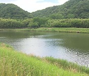 '생태 도시' 상징 된 태화강...20년 땀방울의 기적