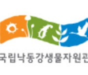 낙동강생물자원관, `미세조류 배양전문가` 교육 참가자 모집