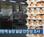 충북 산란계 농장 달걀 안전성 조사