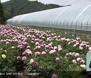 기후변화, 재배 한계선 북상…달라지는 ‘작물지도’