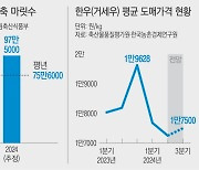 “고기값 바닥, 생산비 폭등…키울수록 빚” 한우협회, 12년 만에 ‘반납 집회’ 벌인다