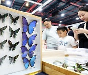 Pet Insect Competition takes flight in SETEC