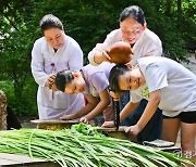 단오 하루전, 창포물에 머리 감아요 [포토뉴스]