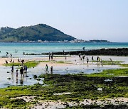 북적이는 제주 금능 해변