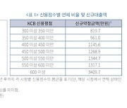 금융硏 "신용사면, 대출금리 상승·채무불이행 증가 불러"