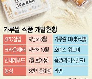 '가루쌀 라면'도 나온다···소비자 입맛 저격할까