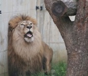 [신간] 불편한 현실과 직면하다…'이상한 동물원의 행복한 수의사'