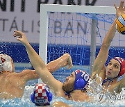 Water Polo Glance