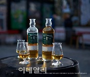 골든블루, 아이리쉬 위스키 ‘맥코넬스’ 출시 1주년…마케팅 강화 나선다