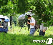 [오늘의 날씨] 강원(10일, 월)…산지 최대 20㎜ 소나기, 내륙 한낮 30도