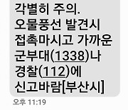 ‘오물풍선 새벽 낙하 가능성’… 간밤 ‘재난문자’에 긴장했던 부산