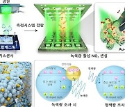 KAIST, 실내조명 활용해 최고 수준 이산화질소 감지 가능