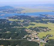  충남도, ‘벼 재배’ 간척지서 ‘미래 먹거리’ 키운다