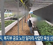 제주시, 복지부 공모 노인 일자리 사업단 육성 선정