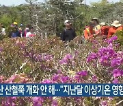 한라산 산철쭉 개화 안 해…“지난달 이상기온 영향”