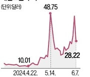 47% 폭등후 39% 폭락…널뛰는 게임스톱 주가