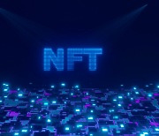 '영상·이미지' NFT, 가상자산일까… 금융위, NFT 가이드라인 공개