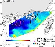 남해 정어리 어군 평균밀도 지난해 대비 절반 '뚝'