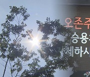 서울 오존주의보 더 빠르고 잦아져…"유해물질 저감 강화"