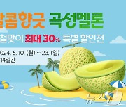 곡성몰, 멜론 제철맞이 특별할인…최대 30%