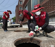 구석구석 모기 방제작업 실시