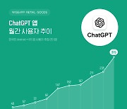 챗GPT, 지난 5월 韓 이용자 315만명...한국인 6%가 쓴다