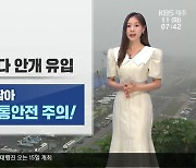 [날씨] 제주 가끔 구름 많고, 낮 더위 이어져…해안 지역 바다 안개 유입