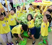 여름 제철 웰빙 간식,  '옥수수' 드셔 보세요~