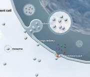 韓 바이오스타트업, ‘엑소좀 치료제’ 글로벌 상용화 청신호