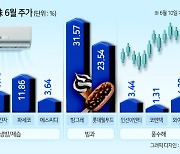 ‘더울수록 쾌속질주’ 여름수혜株 담아볼까