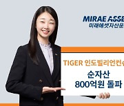 미래에셋운용, TIGER 인도빌리언컨슈머 ETF 순자산 800억 돌파