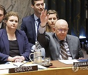 USA UN SECURITY COUNCIL CEASEFIRE