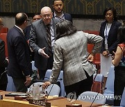 USA UN SECURITY COUNCIL CEASEFIRE