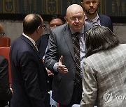 USA UN SECURITY COUNCIL CEASEFIRE