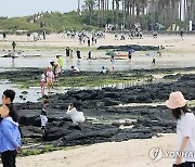 초여름 제주 해변 풍경