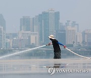 뜨거운 도심에 물 뿌리기?