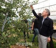 [포토] 철원 사과 농가 찾은 강호동 농협회장