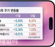 "기기 더 팔린다"…월가 전망에 분위기 반전…아이폰 부품株 ‘훈풍’