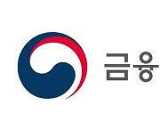 삼성·한화 등 금융복합기업집단 내부통제 평가비중 30%로 상향