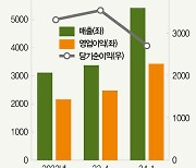 미국이냐 국내냐…상장說 솔솔