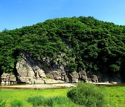 반구천 암각화, 울산아트페어서 홍보 "세계유산 등재 기원"